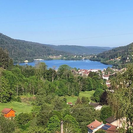 F3 Superbe Vue Lac, Grand Balcon, Ambiance Nature Gérardmer Exterior foto