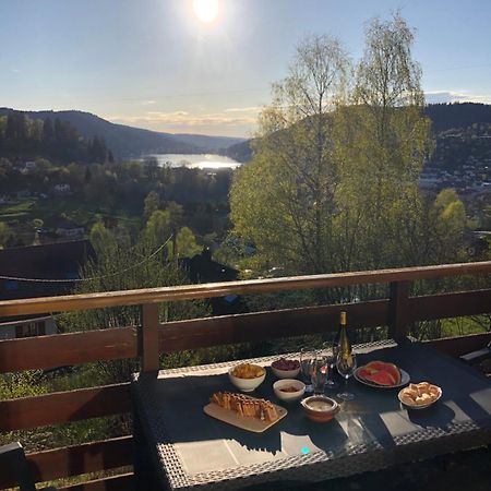 F3 Superbe Vue Lac, Grand Balcon, Ambiance Nature Gérardmer Exterior foto